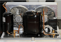 Figure 1: Refrigerator compressor unit.