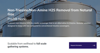 H2S removal from Natural Gas - Pro3® Nano