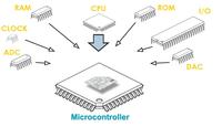 Processors and Microcontrollers