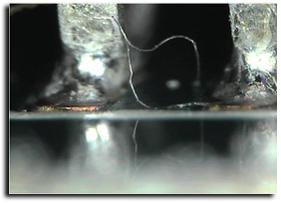 Research – Tin Whiskers, Copper Dissolution, Legacy